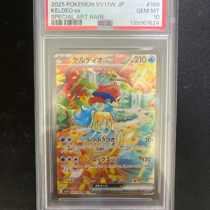[BUNJANG] Japanese Kerdeo ex SAR PSA 10 Graded Card / 일판 케르디오 ex sar psa 10