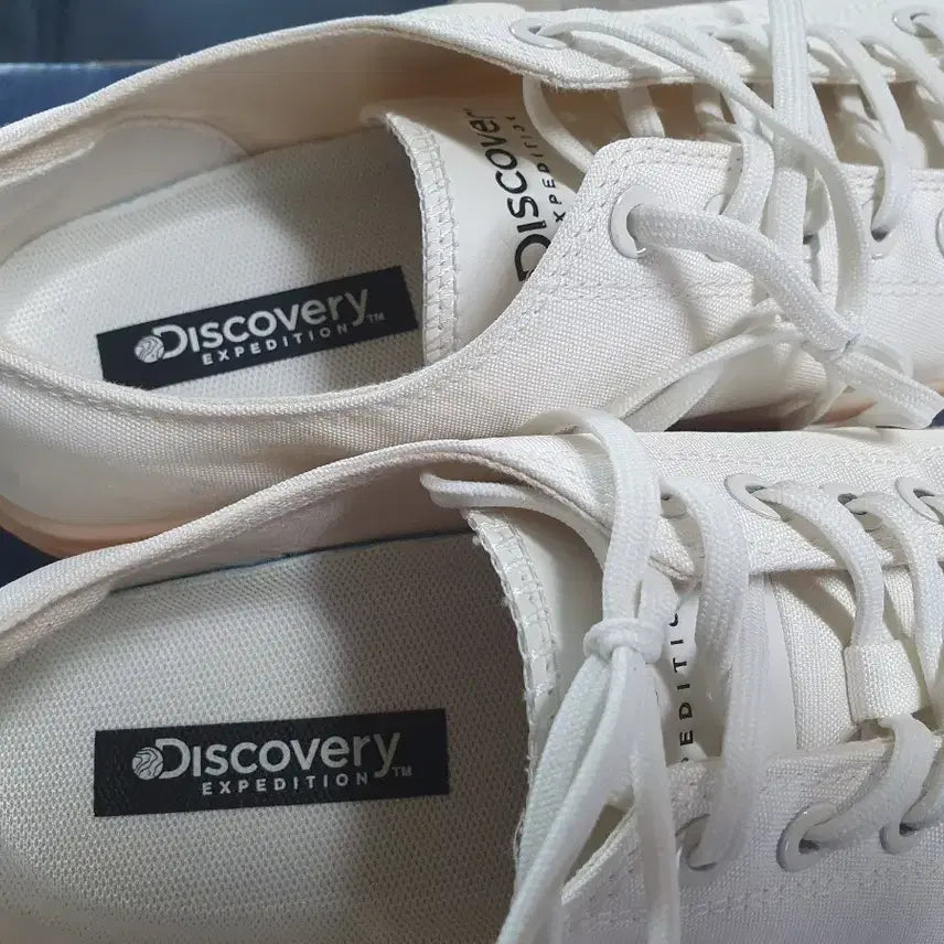 [BUNJANG] Discovery Canvas Shoes / 디스커버리 캔버스화(245같은250)
