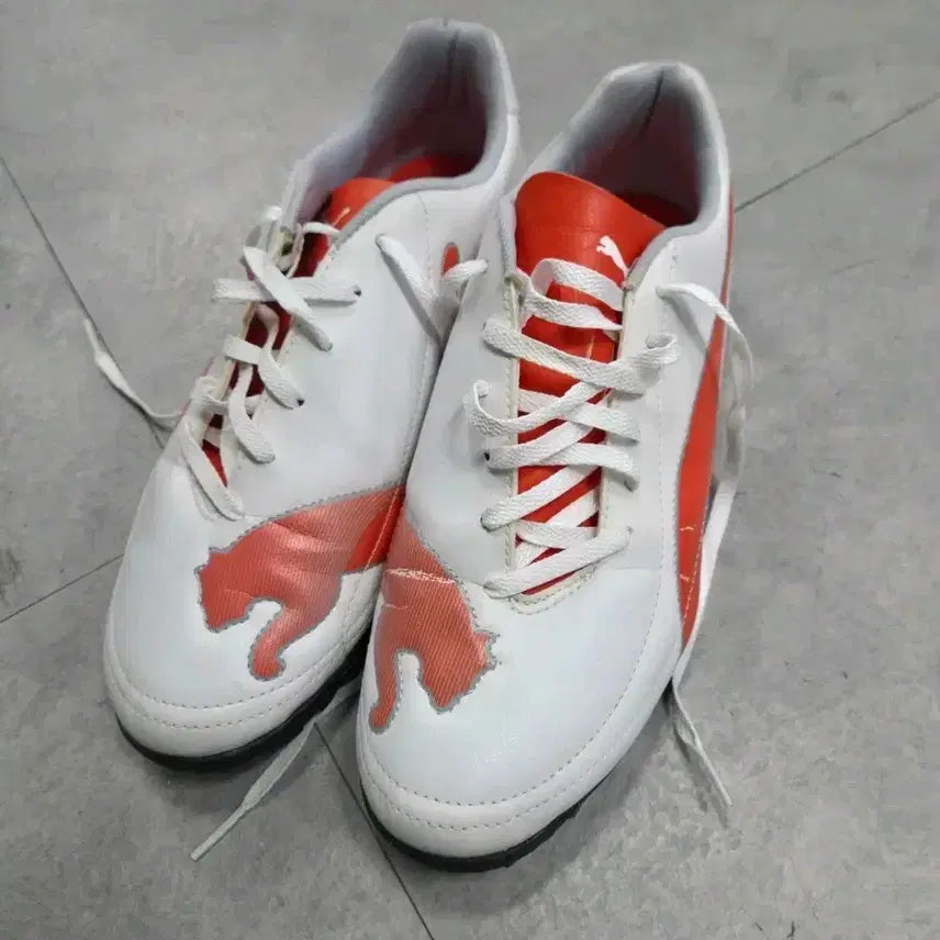 [BUNJANG] Puma Belize Football Boots 275 / 푸마 벨리제 축구화 275