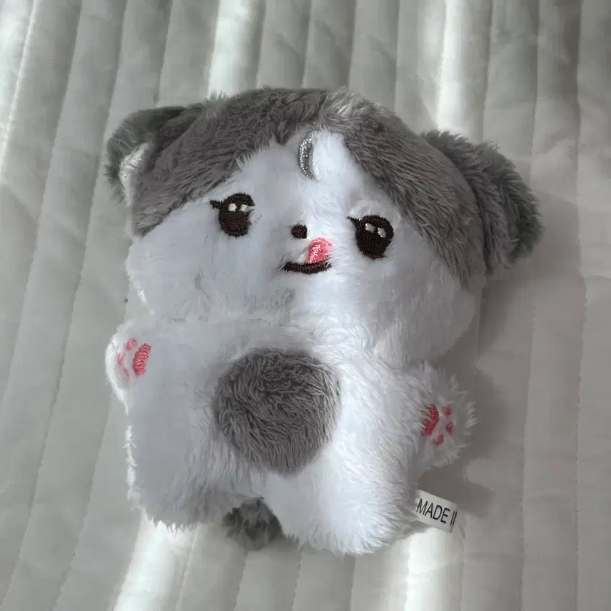 [BUNJANG] Wolf Cafe Plush Doll / 늑대켕 양도