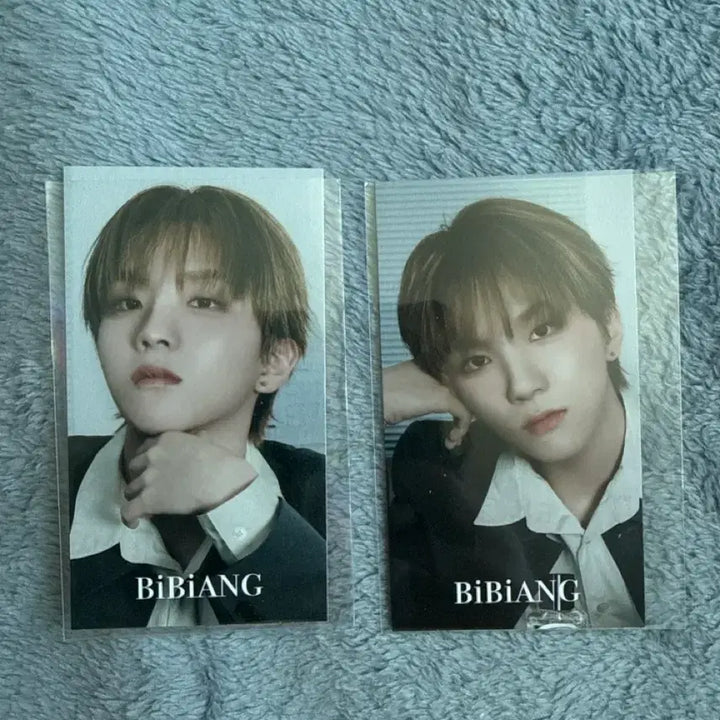 [BUNJANG] BOYNEXTDOOR Vocal Yunhak Vivian Bundle Set Photocard / 보이넥스트도어 보넥도 비비앙 특전 운학 명함사진 일괄 팔아요