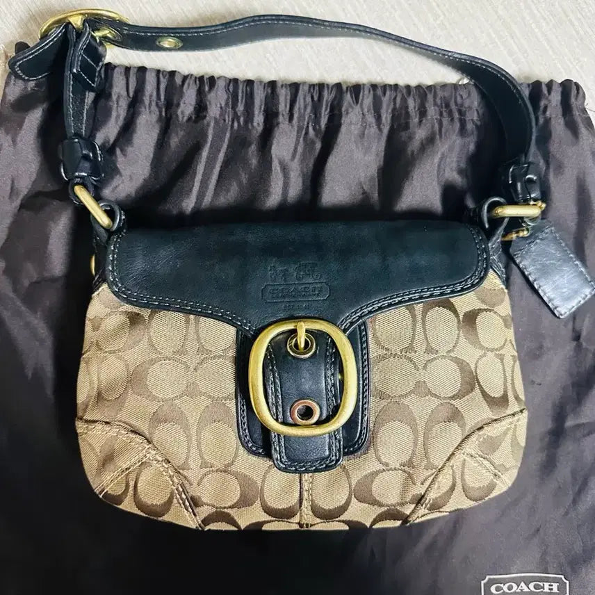 [BUNJANG] Coach Bag / 코치가방