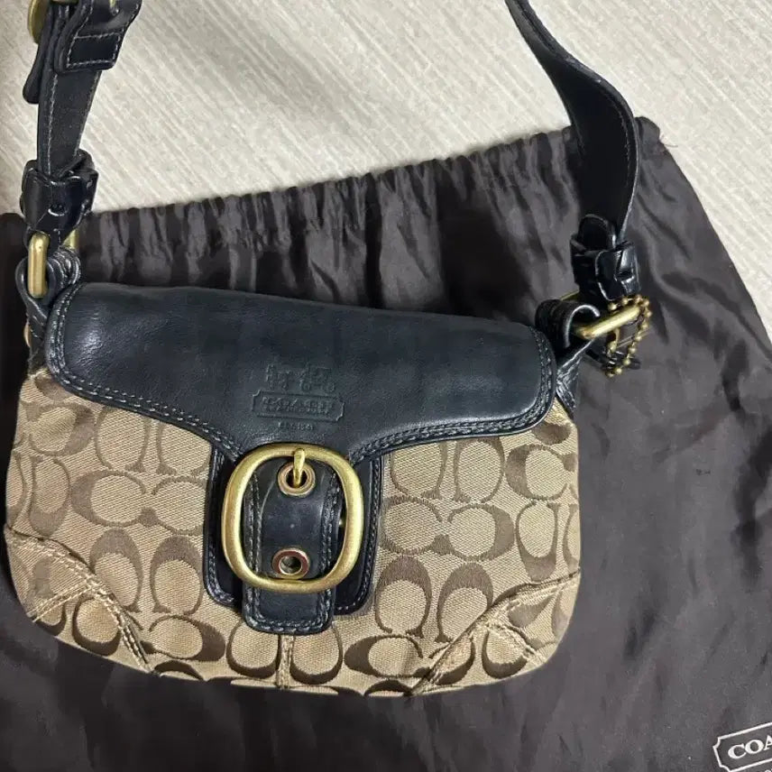 [BUNJANG] Coach Bag / 코치가방