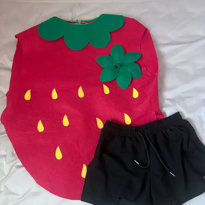 [BUNJANG] Custom Strawberry Costume Outfit Rental / 딸기컨셉옷