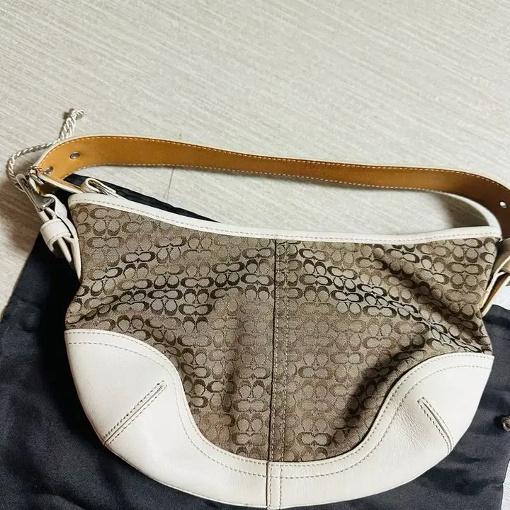 [BUNJANG] Coach Bag / 코치가방