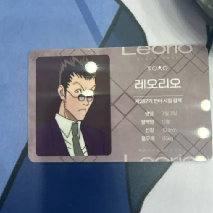 [BUNJANG] Leorio Hunter Certificate Photocard / 레오리오 헌터증