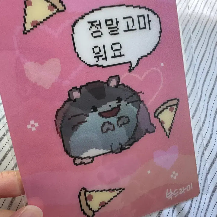 [BUNJANG] Bbudrami Lenticular / 부드라미 렌티큘러