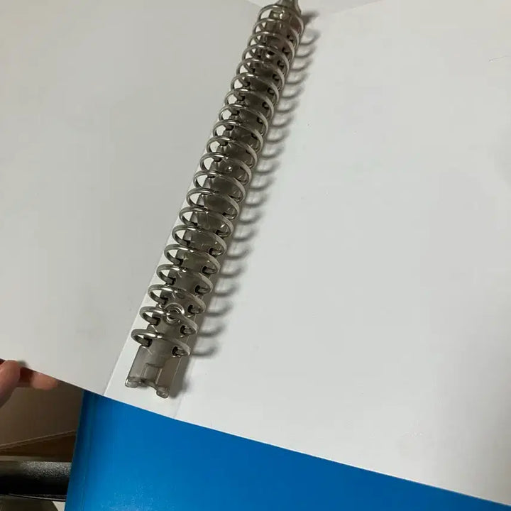 [BUNJANG] Plankus Milestone A5 20-Hole Binder Diary / 플랜커스 마일스톤 a5 20공 바인더 다이어리 팝니다