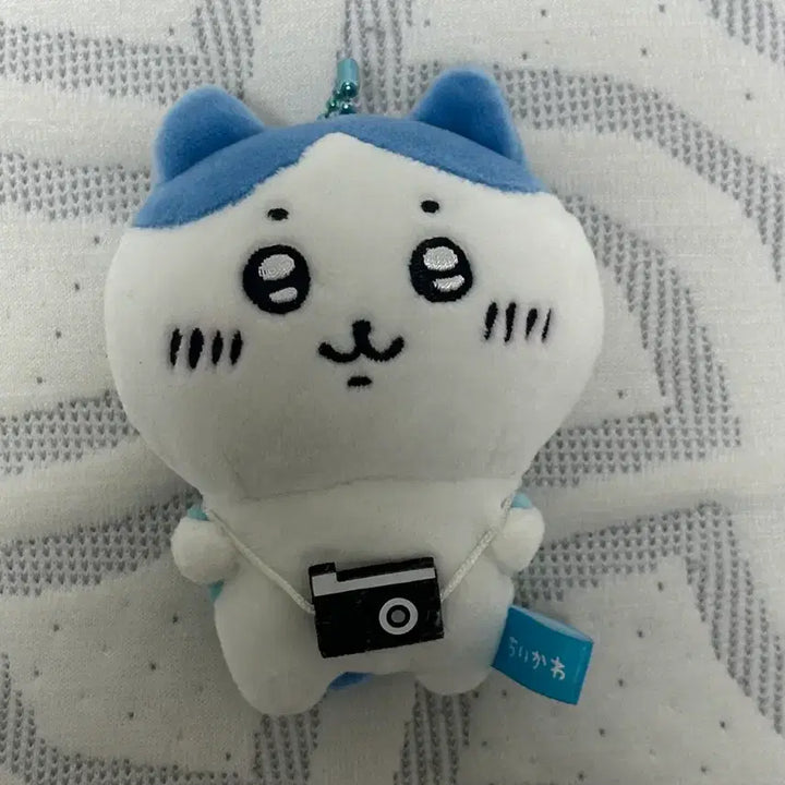 [BUNJANG] Nagano Market Outing Hachiware Camera Mascot Doll Keyring / 나가노마켓 나들이 하치와레 카메라 마스코트 인형 키링