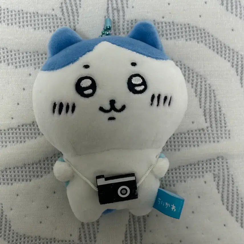 [BUNJANG] Nagano Market Outing Hachiware Camera Mascot Doll Keyring / 나가노마켓 나들이 하치와레 카메라 마스코트 인형 키링