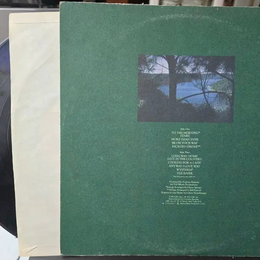 [BUNJANG] Dan Fogelberg Bundle Set 2 LP Records / 일괄_댄 포겔버그 Dan Fogelberg_LP2종