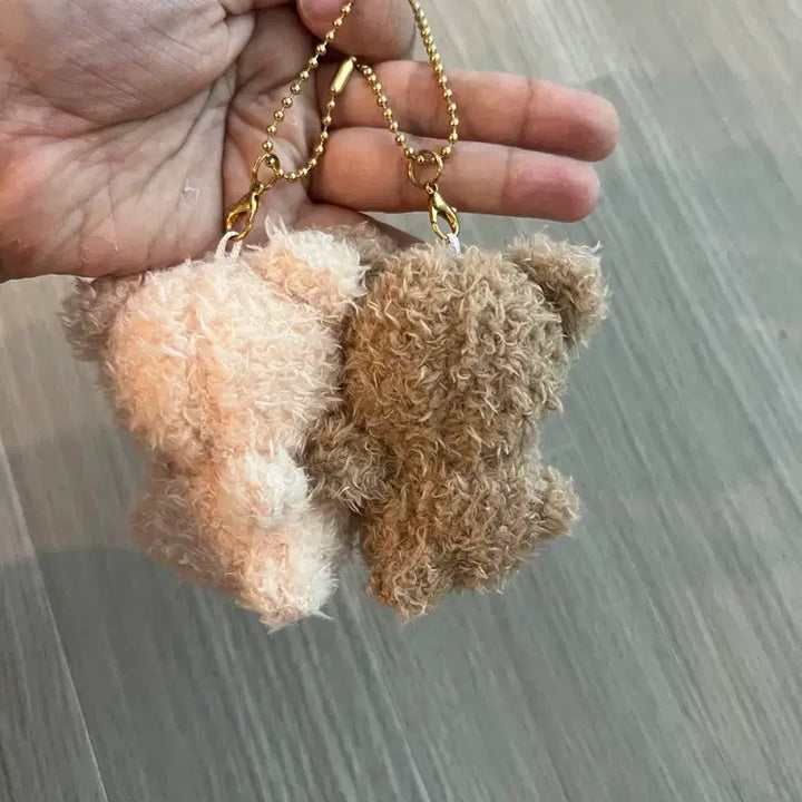 [BUNJANG] Pochal Nico Nui Bear Plush Set / 일본 뽀실 니코누이 곰인형 세트