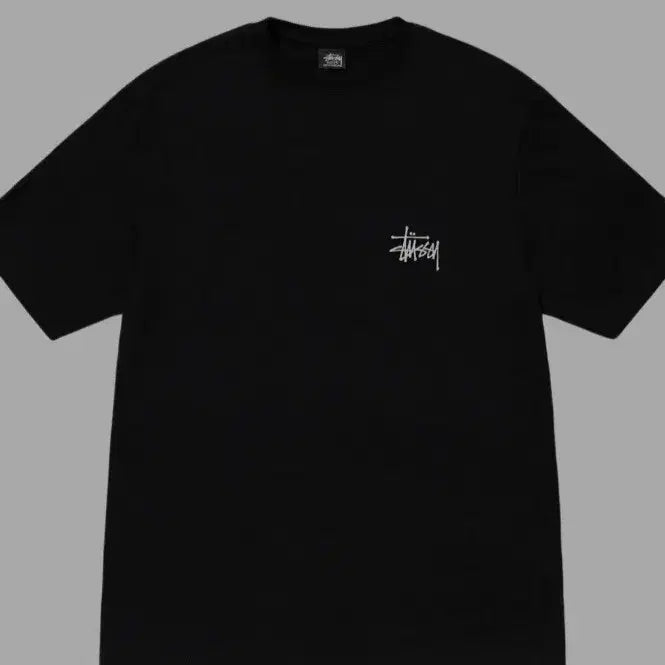 [BUNJANG] Stussy Basic Short Sleeve T-Shirt / 스투시 검정 반팔 티셔츠