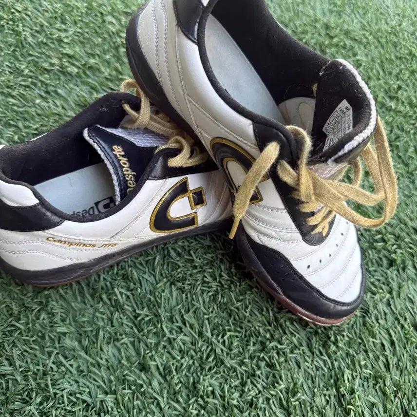 [BUNJANG] Desporte Campinas JTF6 Futsal Shoes Size 245 / 데스포르치 캄피나스 JTF6 245