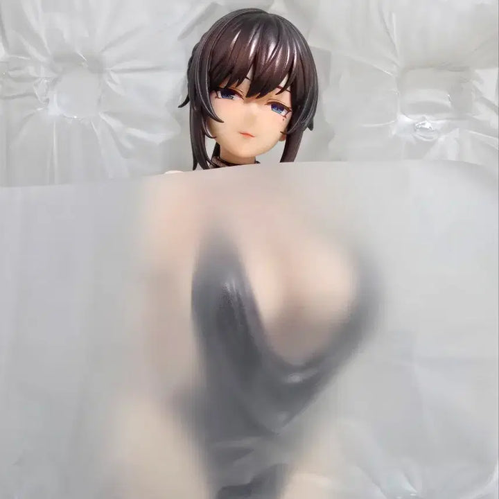 [BUNJANG] Supernova Miyamae Shiho Unsealed Figure / 슈퍼노바 미야마에 시호(개봉/박스O)판매합니다.
