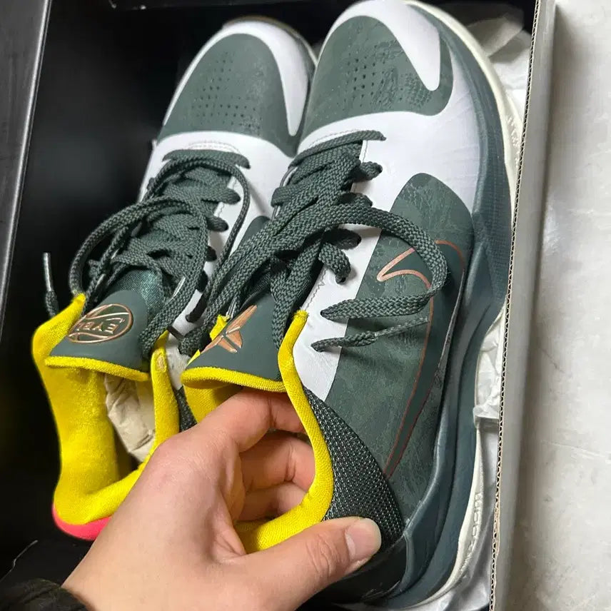 [SOLD OUT] 코비5 EYBL 그린 260