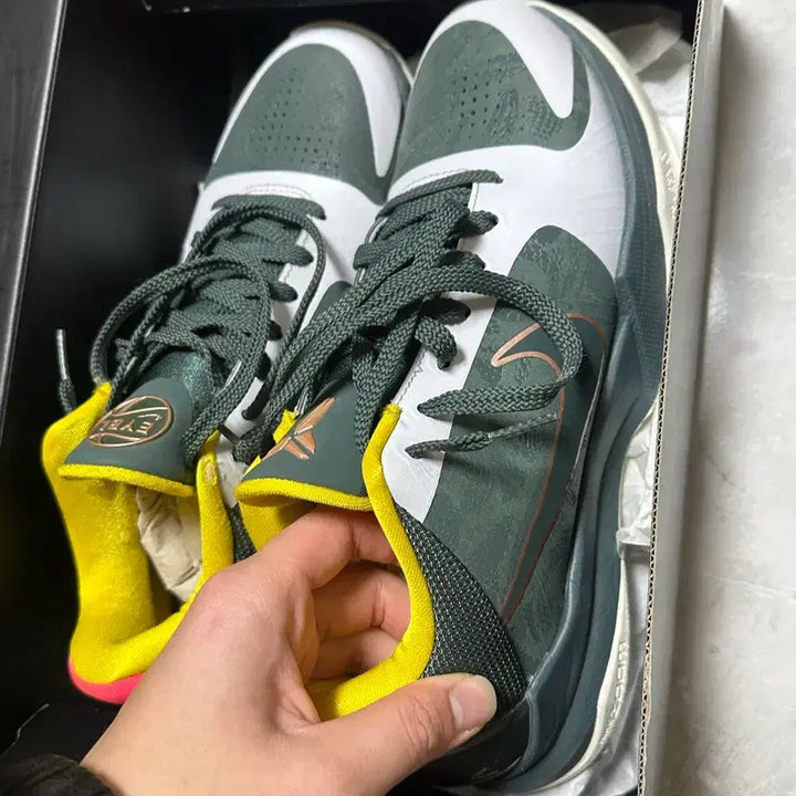 [SOLD OUT] 코비5 EYBL 그린 260
