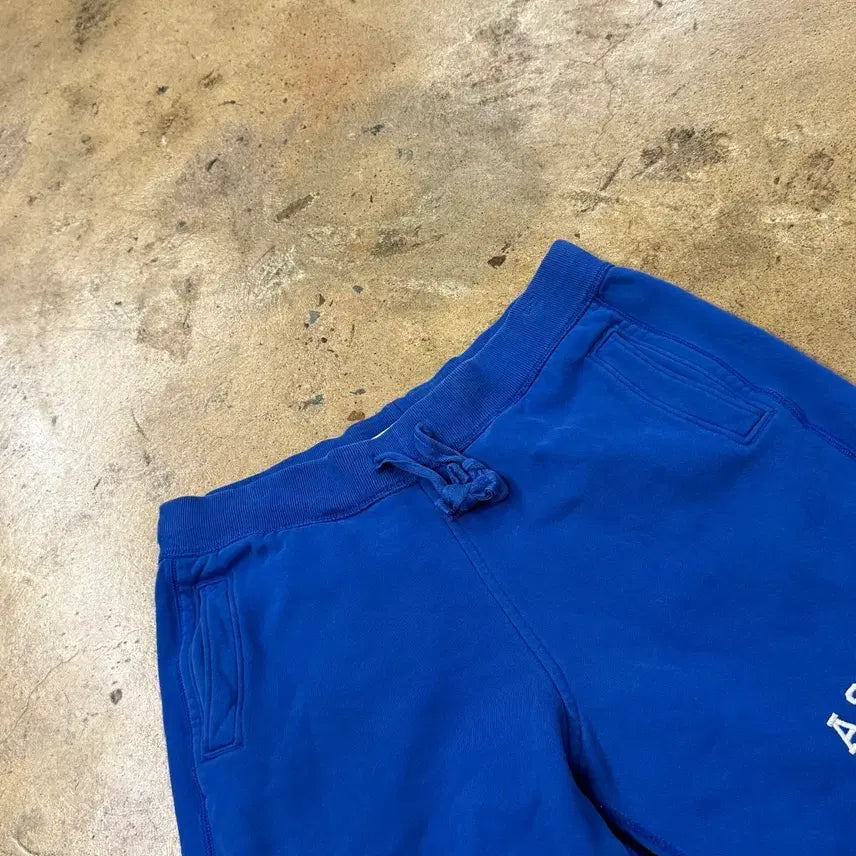 [BUNJANG] Abercrombie Authentic Blue Training Jogger Shorts / [정품/L] 아베크롬비 블루 트레이닝 조거 팬츠 반바지