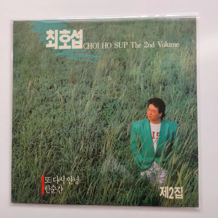 [BUNJANG] Choi Ho-seop 2nd Album LP / 최호섭 2집 LP / MINT