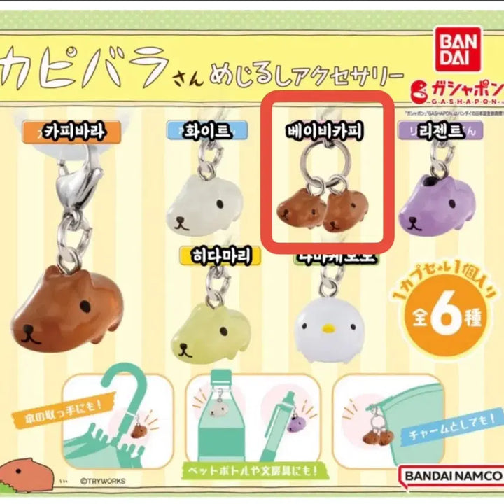 [BUNJANG] Kapibara-san Mejirushi Marking Accessory Gachapon [Baby Kapi] / 카피바라상 메지루시 마킹 악세서리 가챠 [베이비카피]