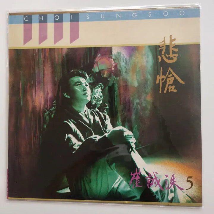 [BUNJANG] Choi Sung Soo 5th Album LP / 최성수 5집 LP / NM