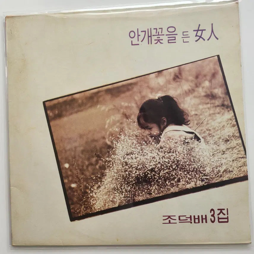 [BUNJANG] Jo Deok Bae 3rd Album LP / 조덕배 3집 LP / NM