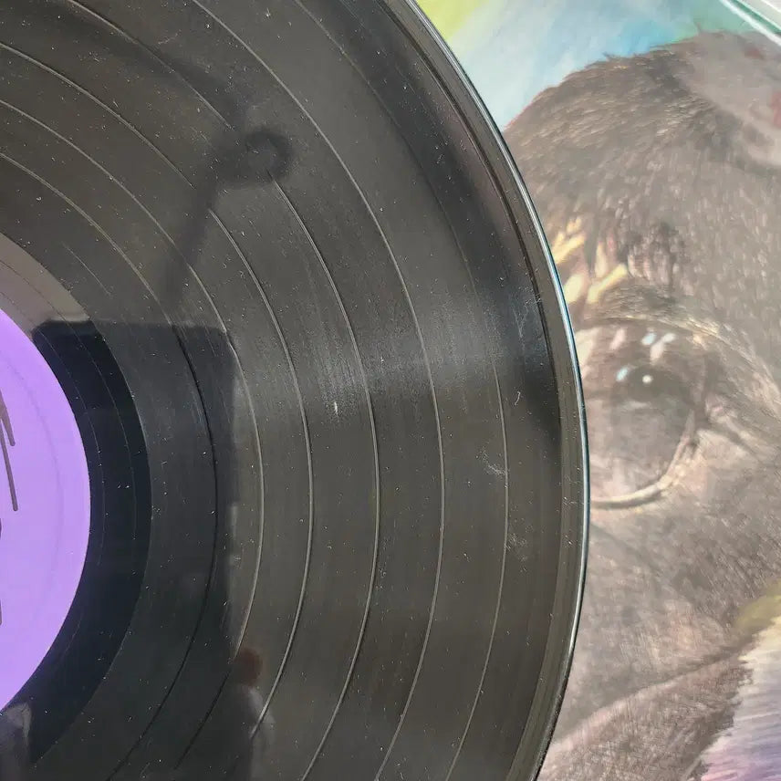 [BUNJANG] Jeon Youngrok LP (Near Mint) / 전영록 LP / NM