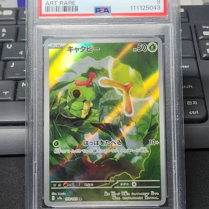 [BUNJANG] Pokemon Card Caterpie AR PSA 9 / 포켓몬 카드 일판 캐터피 AR PSA9