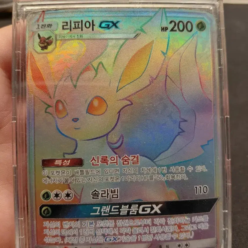 [SOLD OUT] 리피아GX SR