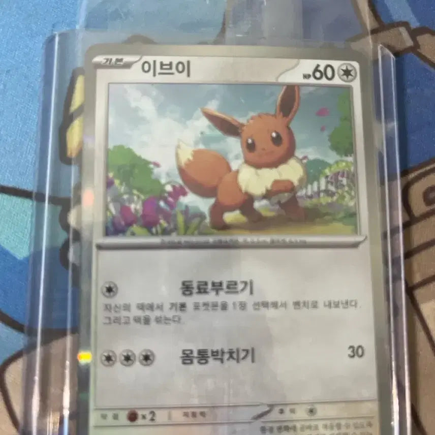 [BUNJANG] Pokemon Card Eevee 022/SV-P / 포켓몬 카드 이브이 022/SV-P