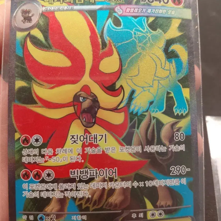 [BUNJANG] Pokemon Card Mega Charizard EX SR / 포켓몬 카드 메가화염레오 EX SR