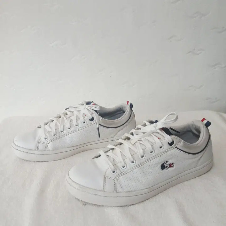 [BUNJANG] Lacoste Sneakers 260mm / (68)라코스떼 스니커즈 260mm