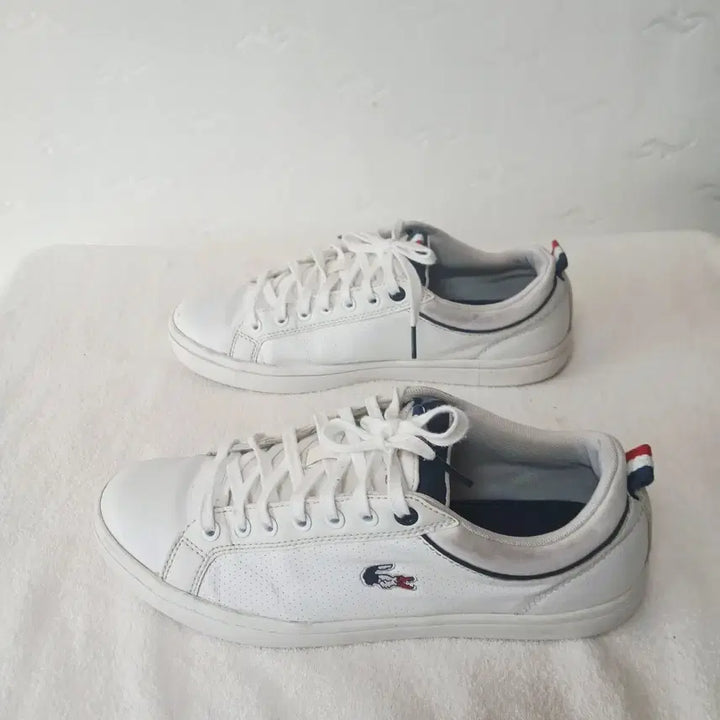 [BUNJANG] Lacoste Sneakers 260mm / (68)라코스떼 스니커즈 260mm