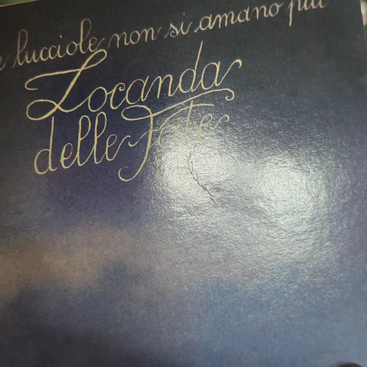 [BUNJANG] Locanda delle Fate Forse Le Lucciole Non Si Amano Più LP / Locanda delle Fate - Forse Le Lucciole N