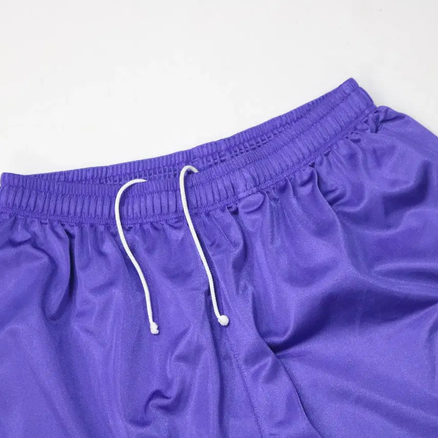 [BUNJANG] ASICS Vintage Purple &amp; Yellow Side Line Mesh Half Pants / ASICS 아식스 빈티지 퍼플 &amp; 옐로우 사이드 라인 메쉬 팬츠