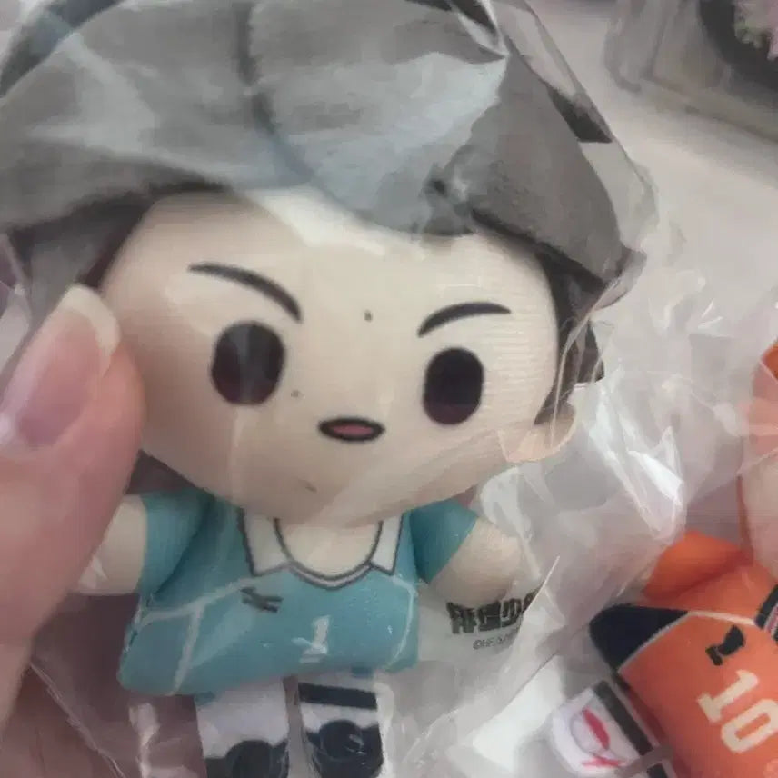 [BUNJANG] Haikyuu!! Oikawa Hinata Plush Bundle Set / 하이큐 오이카와 히나타 누이 일괄양도
