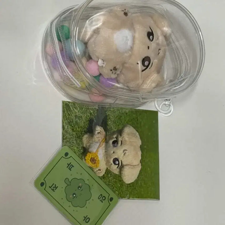 [BUNJANG] CHOYOUNGWOO Chonadi 10cm Doll / 추영우 추나디 10cm 인형 판매