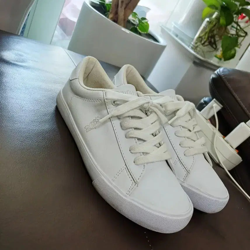 [BUNJANG] Polo Sneakers / 폴로   스니커즈 운동화 235
