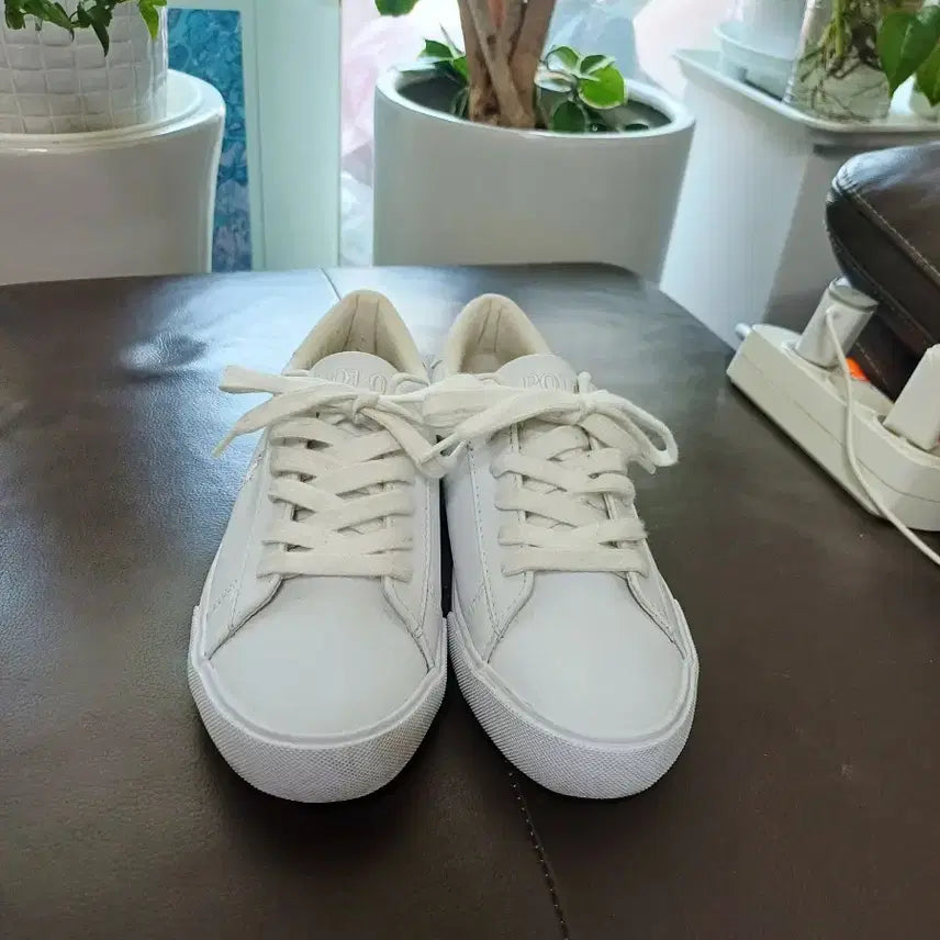 [BUNJANG] Polo Sneakers / 폴로   스니커즈 운동화 235