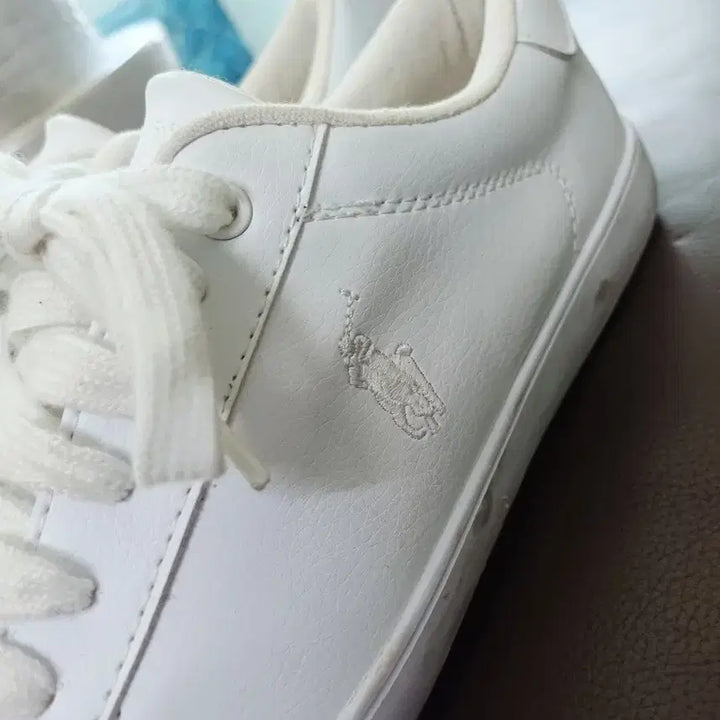 [BUNJANG] Polo Sneakers / 폴로   스니커즈 운동화 235