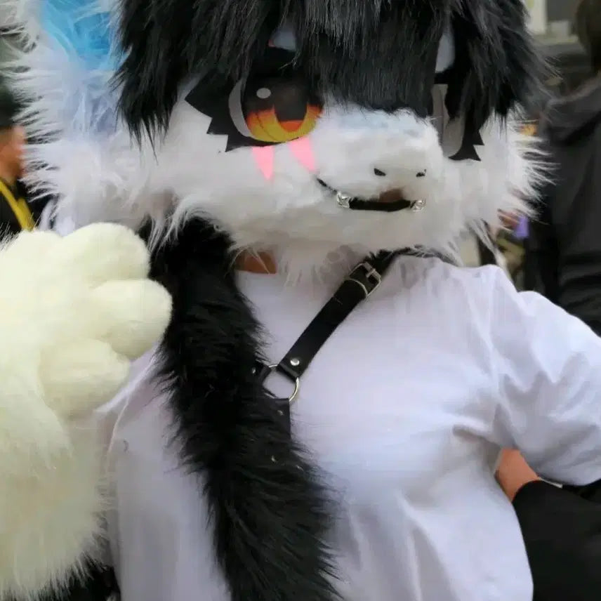 [BUNJANG] Fursuit Head &amp; Paws / 퍼슈트 헤드,손 판매