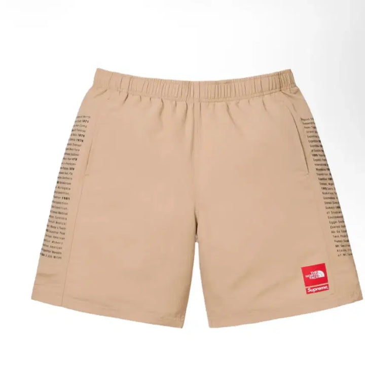 [BUNJANG] Supreme x The North Face 24SS Nylon Shorts Khaki L / 당일배송) L 슈프림 x 노스페이스 나일론 쇼츠 카키 반바지 24SS