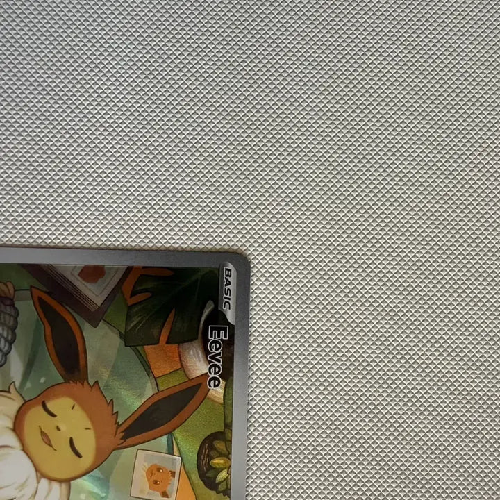 [BUNJANG] Pokemon TCG North American Eevee Promo / 포켓몬카드 북미 이브이 프로모