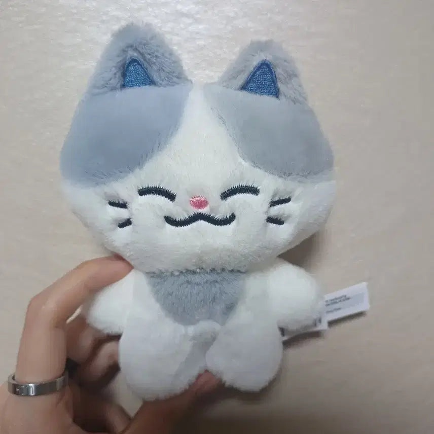 [BUNJANG] NCT Dream Chenle Lucky Charm Doll / 엔시티드림 천러 인형 러묘