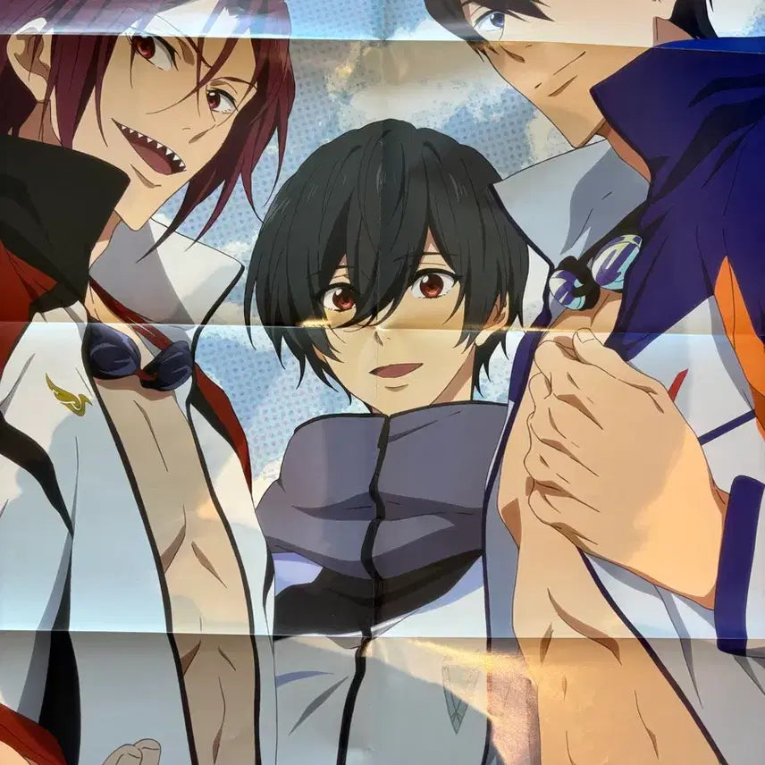 [BUNJANG] Free! Large Poster / Free! 프리! 포스터