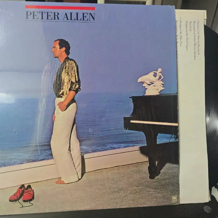[BUNJANG] Peter Allen Bundle Set - 3 Album Collection (US Pressings) / 일괄_피터 앨런(Peter Allen) 앨범 3종_US