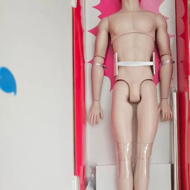 [BUNJANG] Pop-Up Parade Boy (Nude) with Stand, Default Box, and Certificate / 포피파커 패션로얄티 포멀댄스남아(누드) + 스텐드 +디폴상자 + 보증서