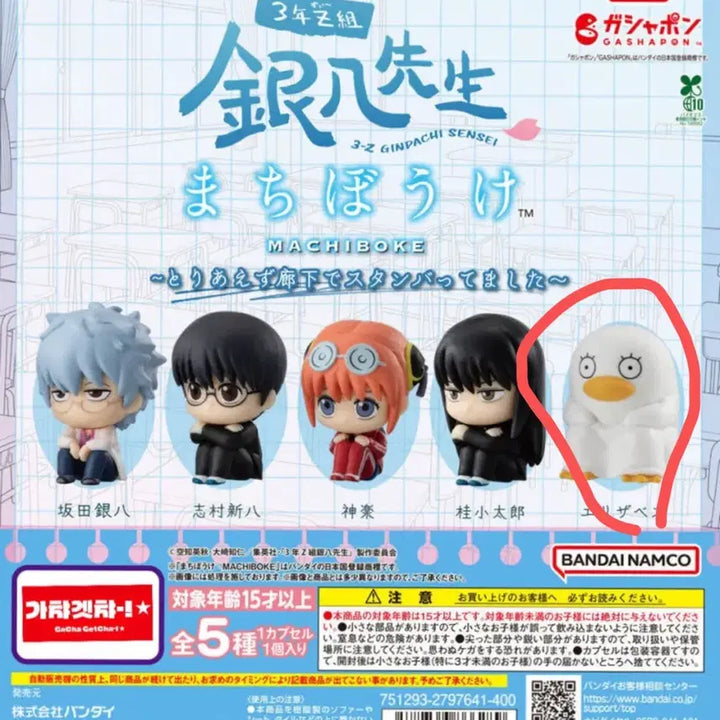 [BUNJANG] Gintama 3Z Gintoki Ginpachi-sensei Machiboke Gacha Elizabeth / 은혼 삼젯 긴파치 선생 마치보케 가챠 엘리자베스