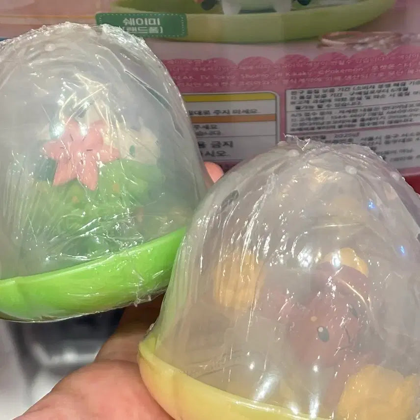 [BUNJANG] Pokemon Jewelry Stand Jamless Gacha Ear-roll Shaymin / 포켓몬 쥬얼리스탠드 잼리스 가챠 이어롤 쉐이미