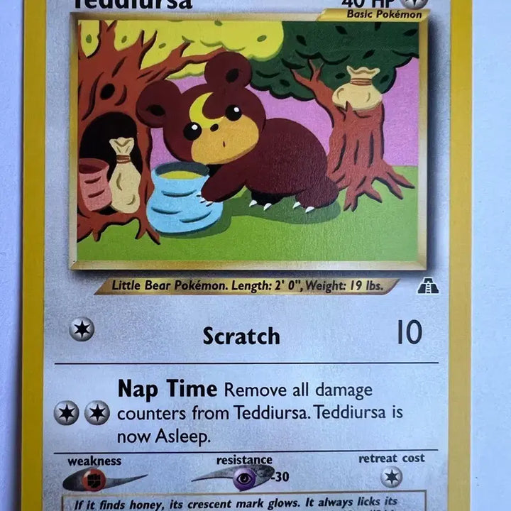 [BUNJANG] Pokemon Early North American English Version Teddiursa Card / (희귀 영문판) 포켓몬, 포켓몬스터 초기 북미 깜지곰 카드